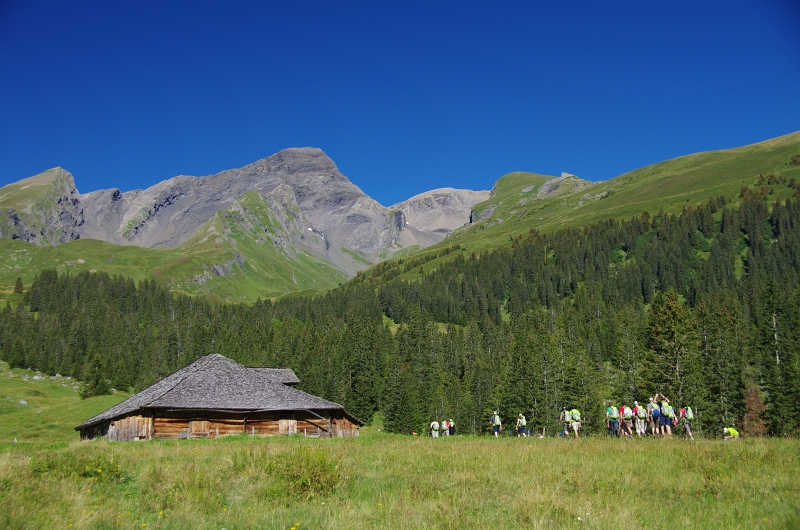 24h Hike Mammut_Ochsner 'Meiringen_Grosse Scheidegg 1962m' 18_08_2012 (103).JPG